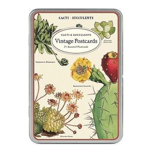 Vintage Postcards - Cacti & Succulents CAVALLINI & Co. SAN FRANCISCO
